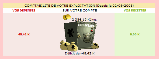 récapitulatif de vos dépenses et de vos recettes